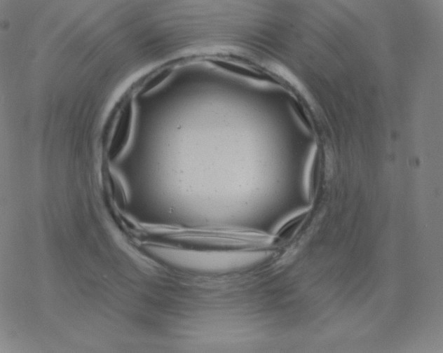 X0000077351124200611101607