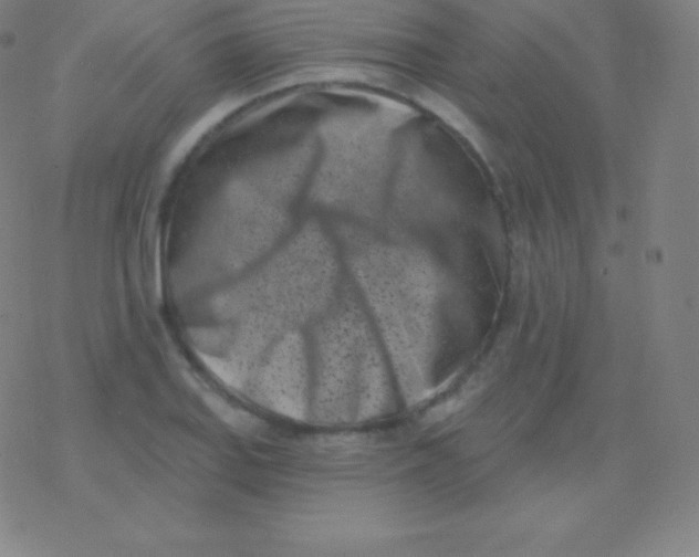 X0000077351127200611101607