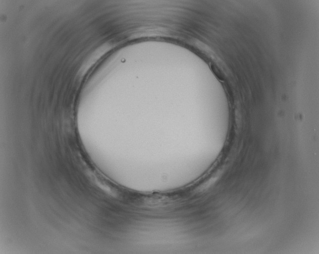 X0000077351129200611101607