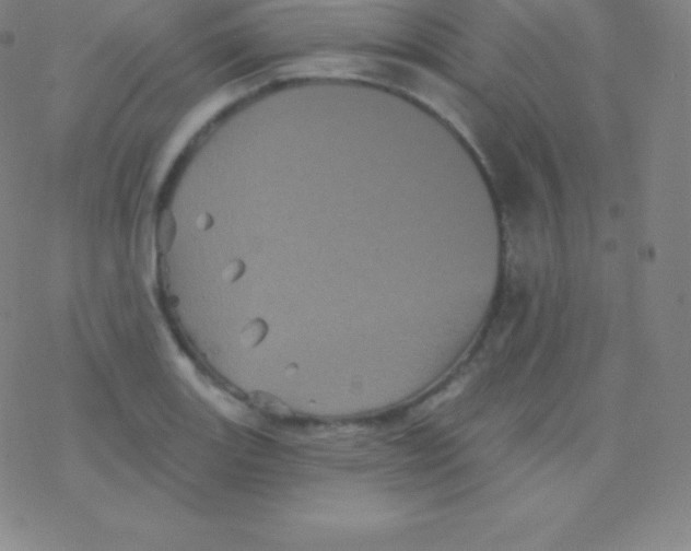 X0000077351131200611101607