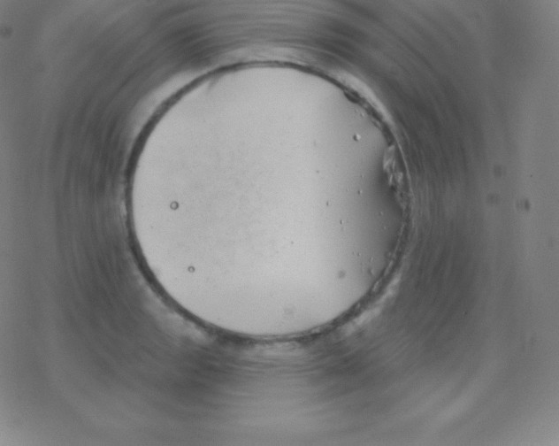 X0000077351133200611101607