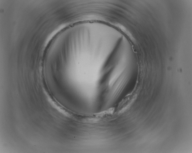 X0000077351134200611101607