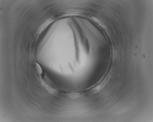 X0000077351137200611101607