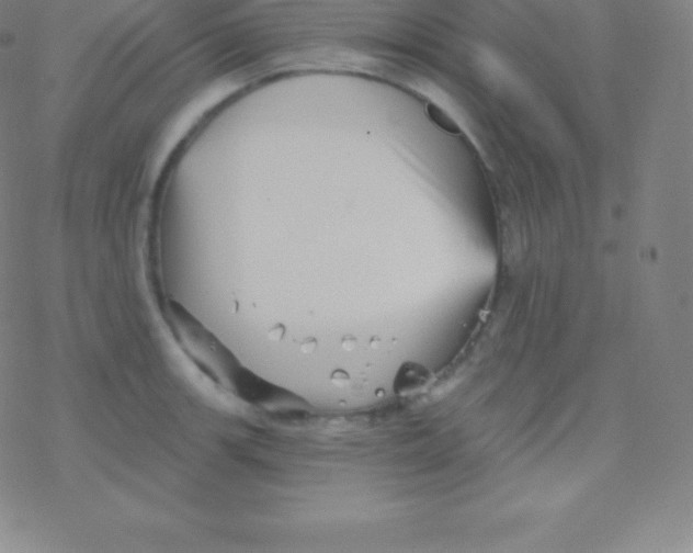 X0000077351139200611101607