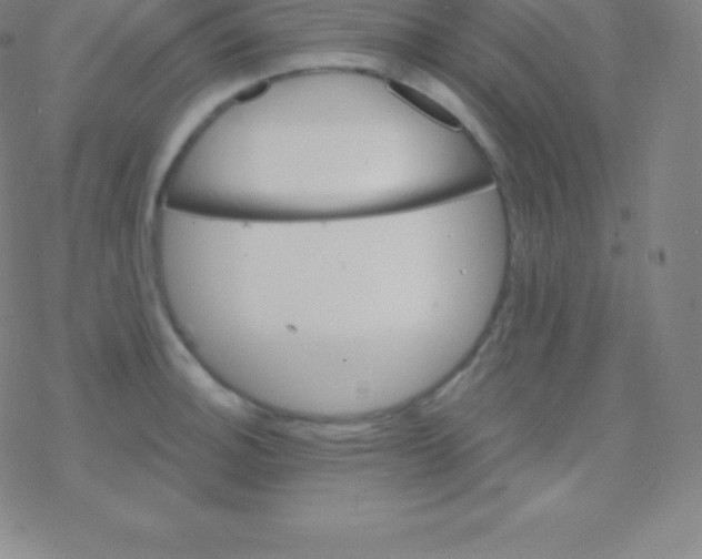 X0000077351140200611101607