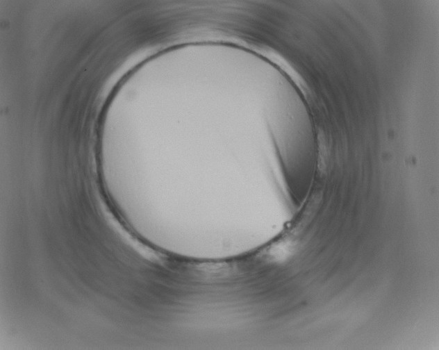 X0000077351142200611101607