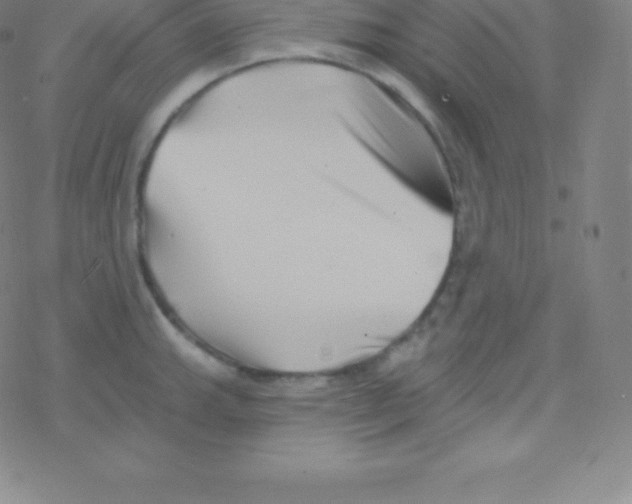 X0000077351143200611101607