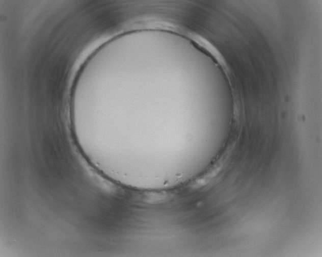 X0000077351144200611101607