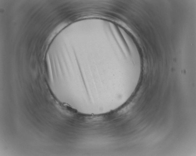 X0000077351145200611101607