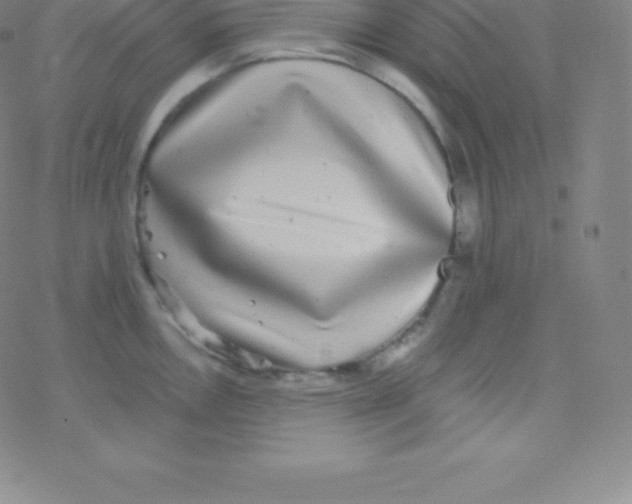 X0000077351146200611101607