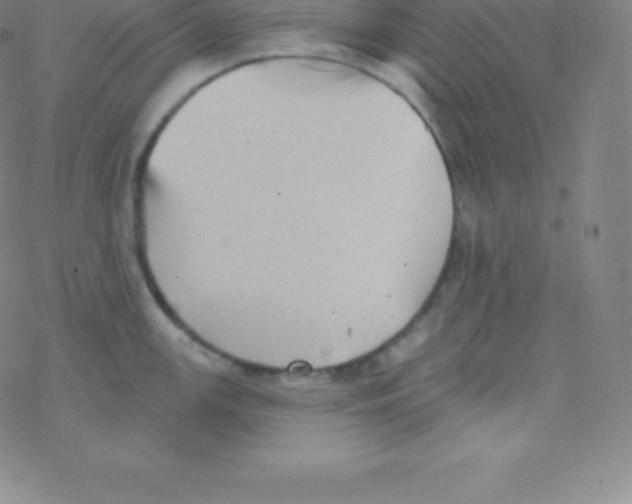 X0000077351147200611101607