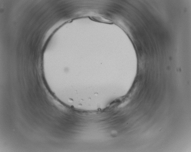 X0000077351149200611101607