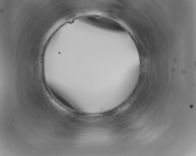 X0000077351151200611101607