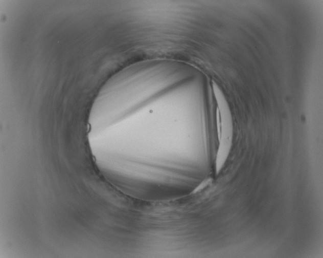 X0000077351153200611101607