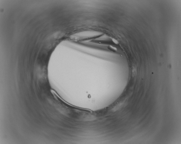 X0000077351156200611101607