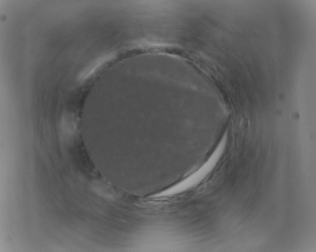 X0000077351157200611101607