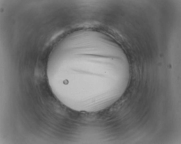 X0000077351158200611101607