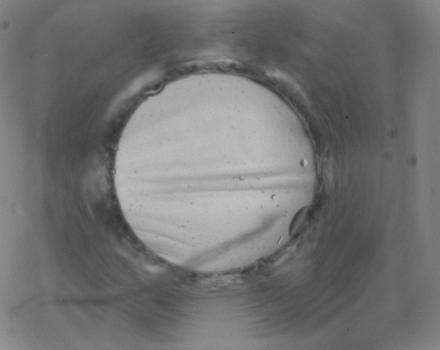 X0000077351159200611101607