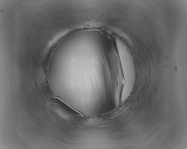 X0000077351160200611101607