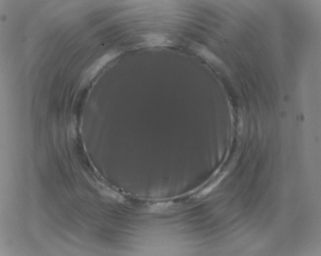 X0000077351161200611101606