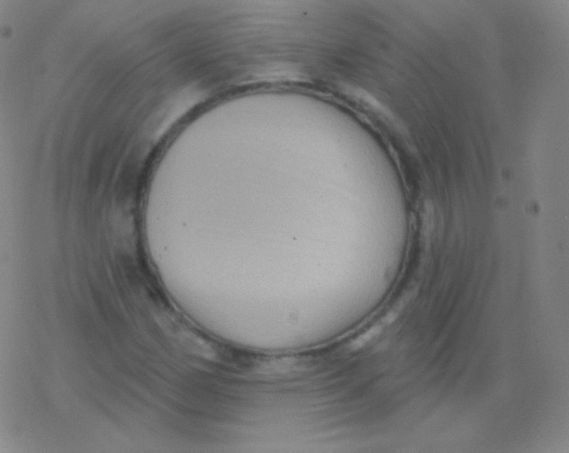 X0000077351162200611101606