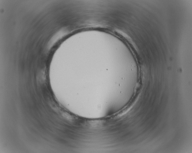 X0000077351163200611101606