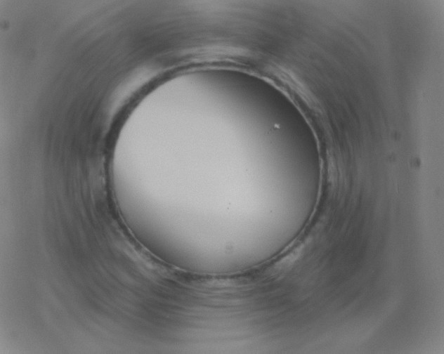 X0000077351164200611101606