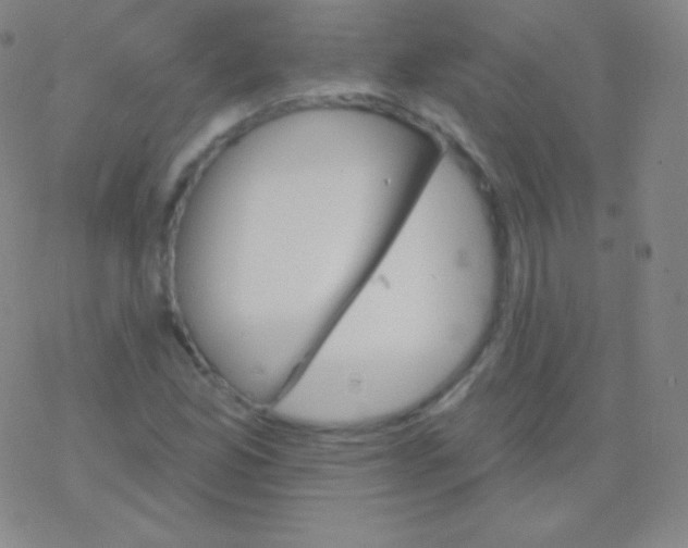 X0000077351165200611101606