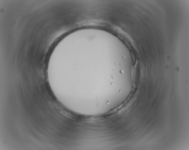 X0000077351166200611101606