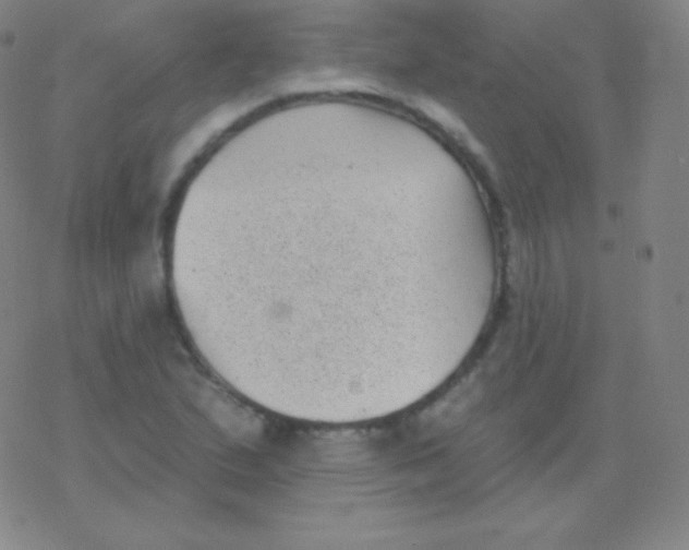 X0000077351167200611101606