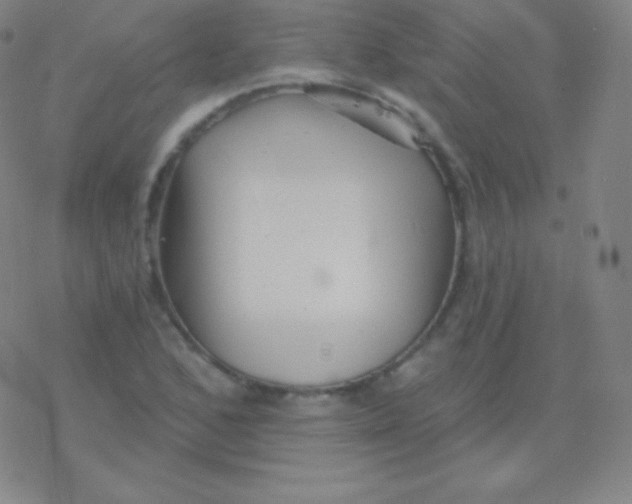 X0000077351168200611101606