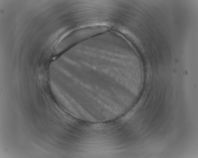 X0000077351169200611101606