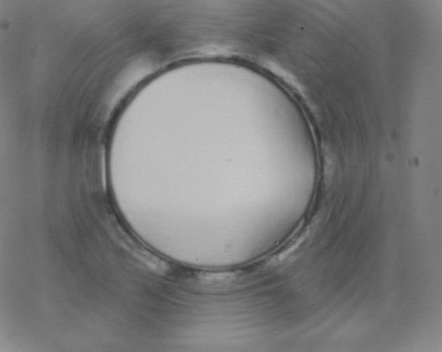 X0000077351171200611101606