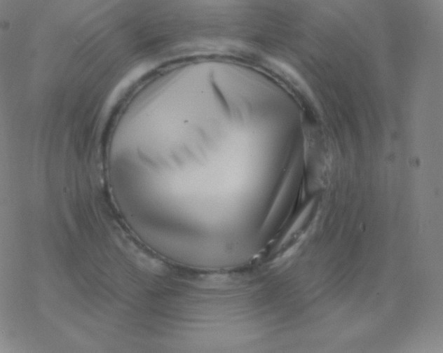 X0000077351172200611101606