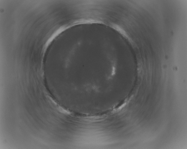 X0000077351173200611101606