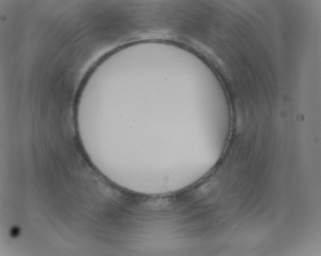 X0000077351174200611101606