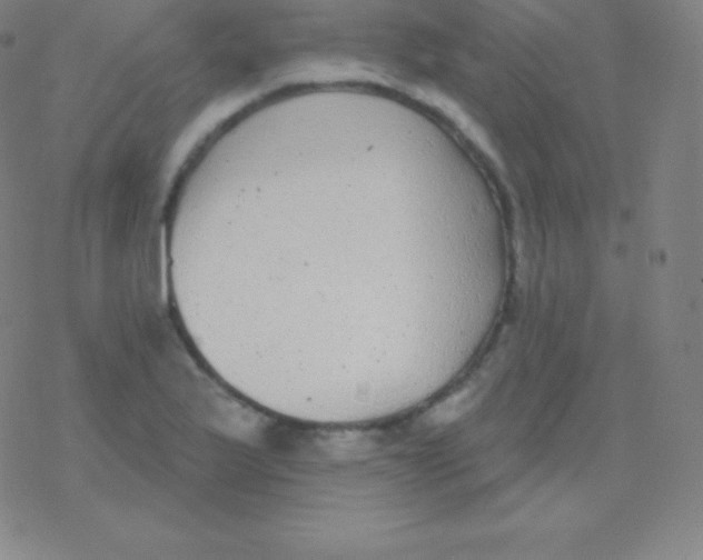 X0000077351175200611101606