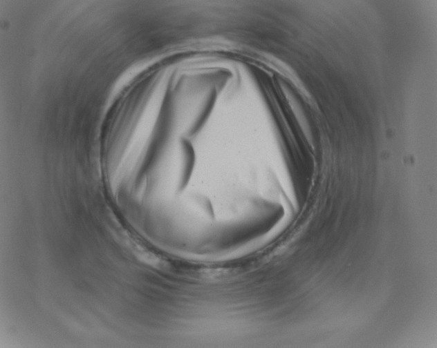 X0000077351176200611101606