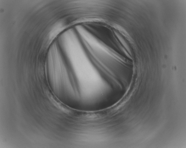 X0000077351177200611101606