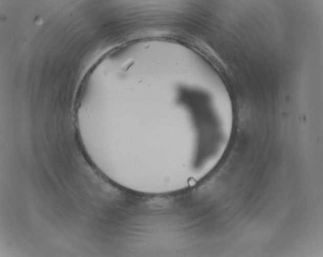 X0000077351178200611101606