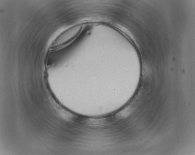 X0000077351179200611101606