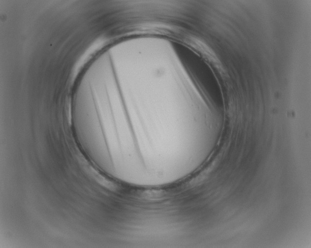 X0000077351180200611101606