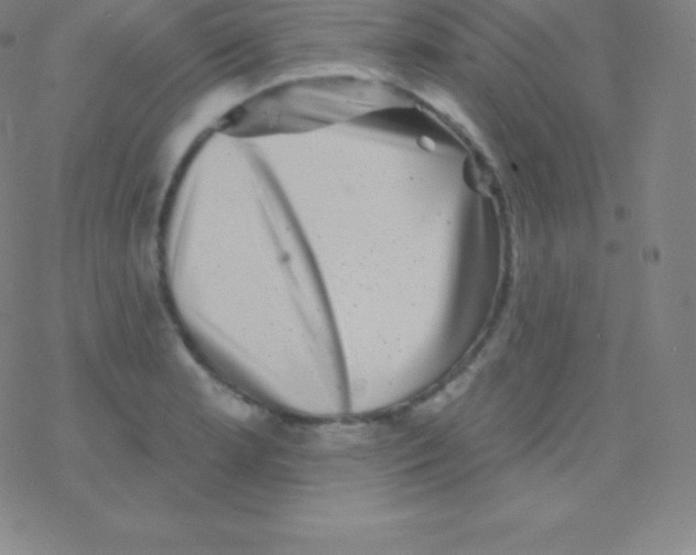 X0000077351181200611101606