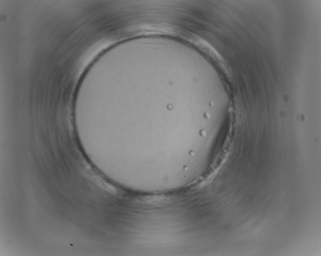 X0000077351182200611101606