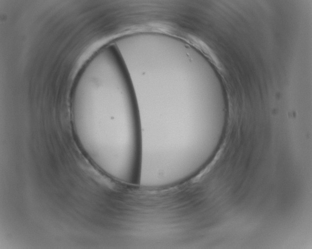 X0000077351184200611101606