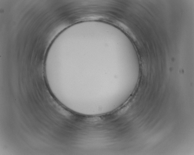 X0000077351186200611101606