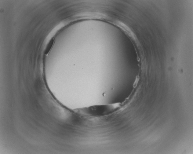 X0000077351188200611101606