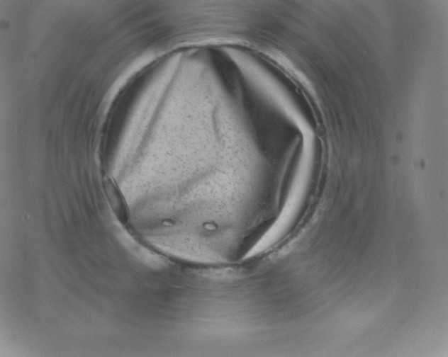 X0000077351189200611101606