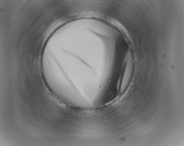 X0000077351190200611101606