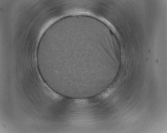 X0000077351191200611101606